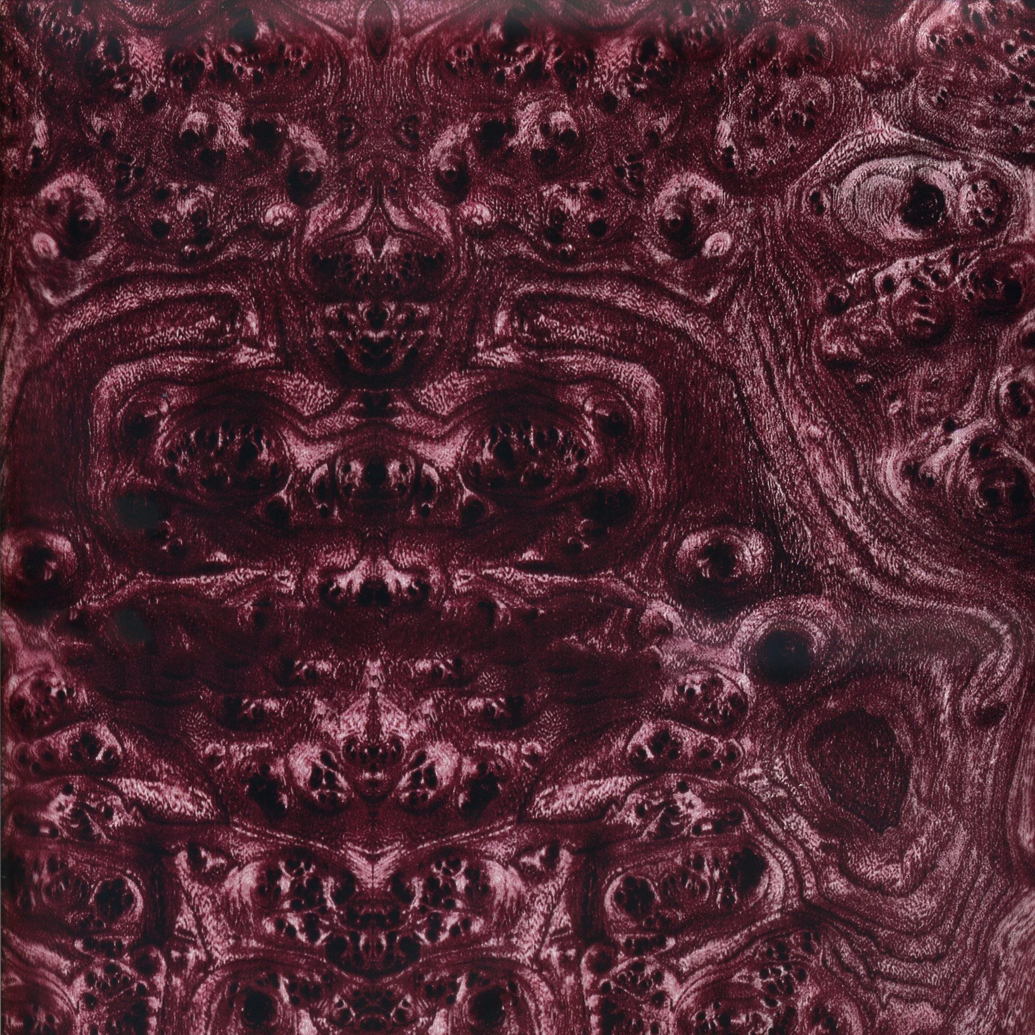 Модель рисунка 2255 грецкого ореха гидрографическая пленка веерообразная водонапорная печать Pakistan IVIP Factory Dongguan Hydro docping Film