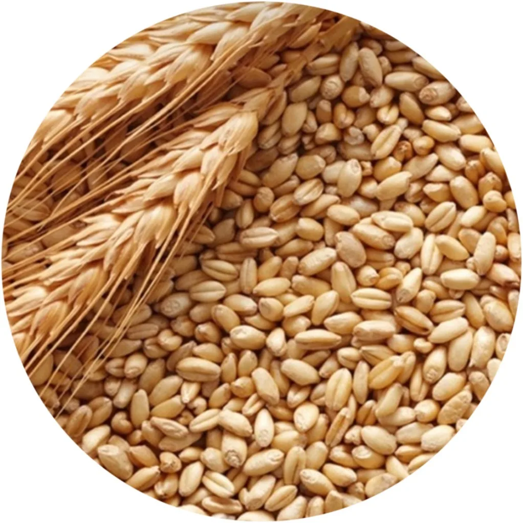  Высокое качество цена на ячмень