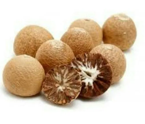 ***BEST CHOICE*** Natural Dried Betel Nut From Vietnam 2022 With High Quality And Good Prices