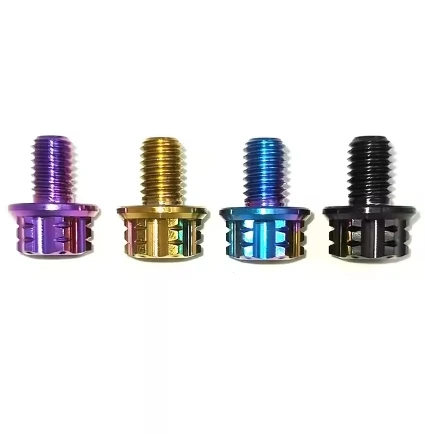M6 M8 M10 Custom Titanium Alloy Torx Flange Motorcycle Bolt Gr5 for Motorcycle