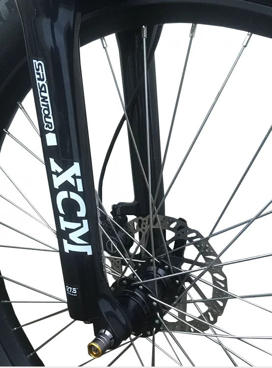 Best price Mountain electric bike 48V750W powerful bafang motor electric bike bicycle Fat tire E bike