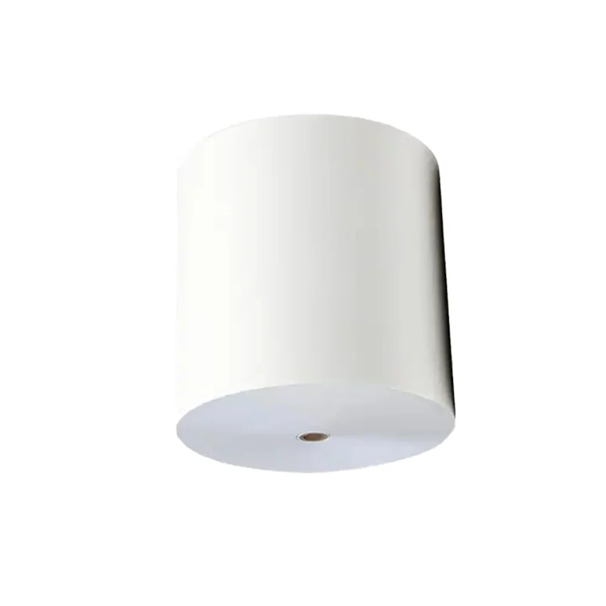 ECO Friendly 150gsm to 350gsm Disposable Biodegradable Paper Cup Raw Materials Paper Rolls Factory wholesale