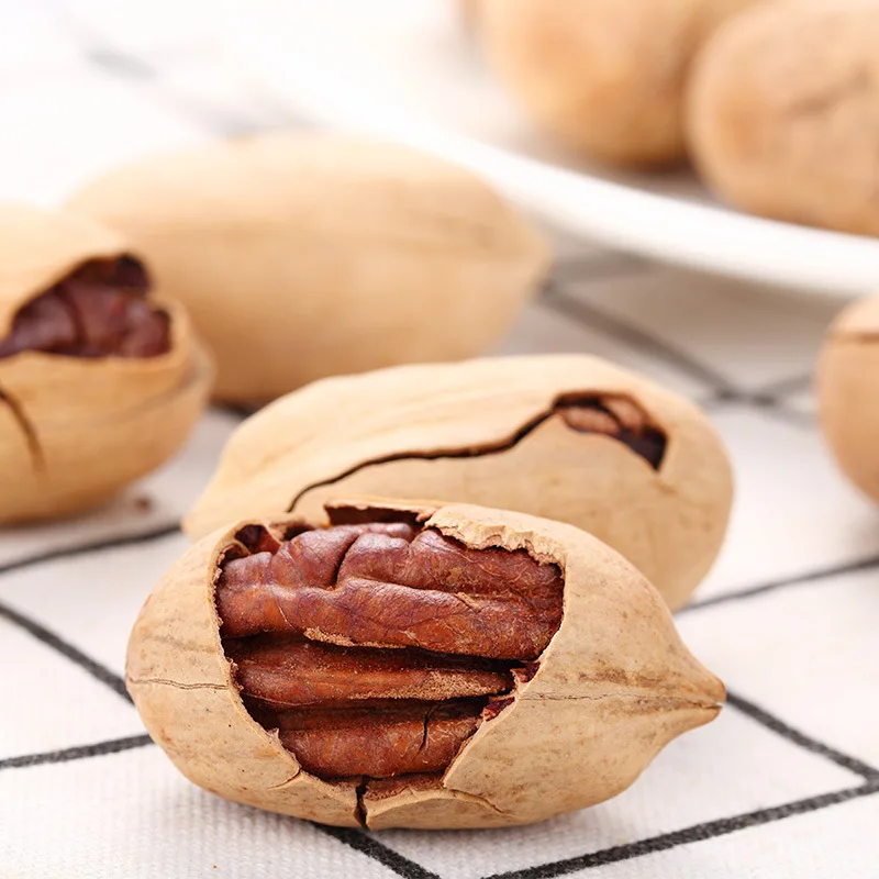 Chinese pecans maquina de quebrar noz pecan Raw Pecan Nuts with Shell