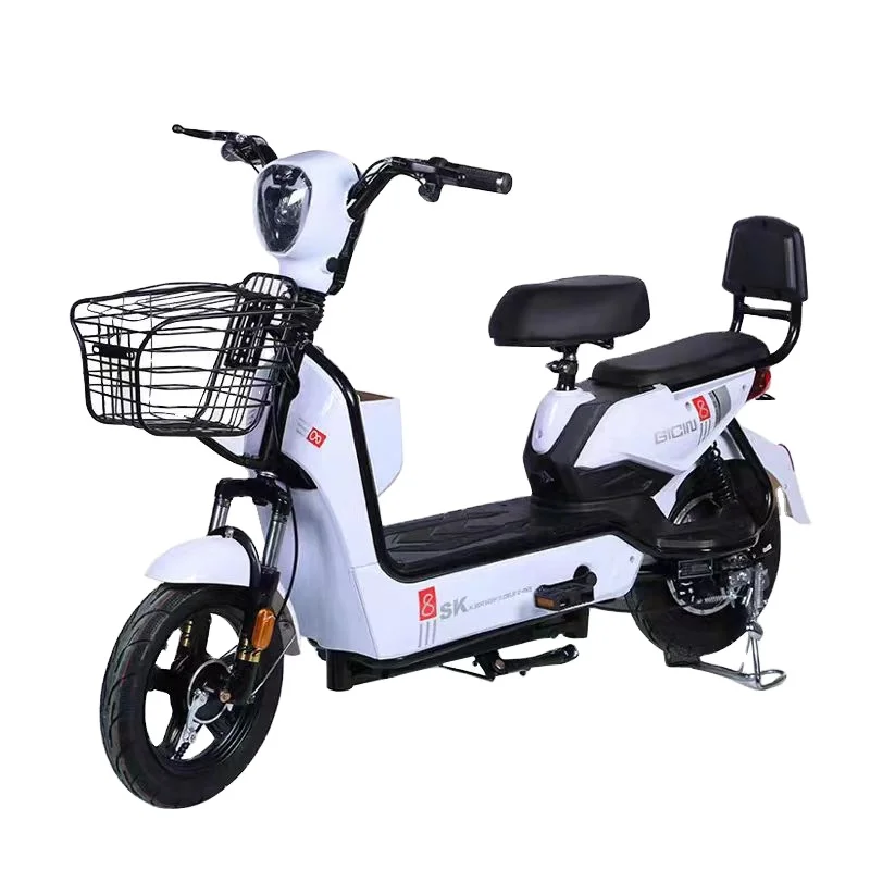 Factory wholesale city electric bicycle 350W 48V adult electric city bike lead acid battery two wheel 2 seat