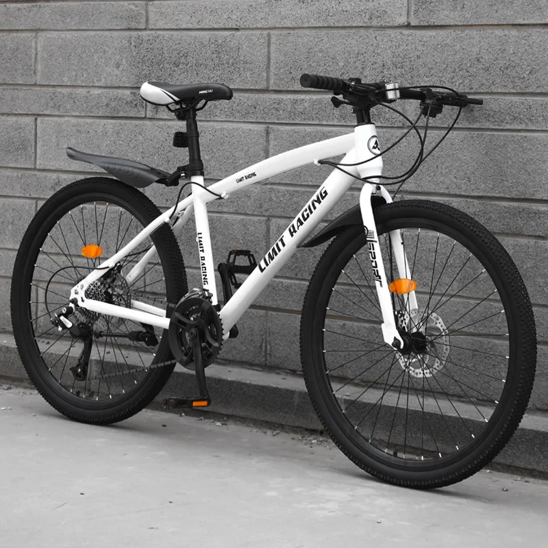 QS Wholesale 21 Speed Carbon Steel Frame Mtb Bicycle 24 26 Inch Mountain Bike