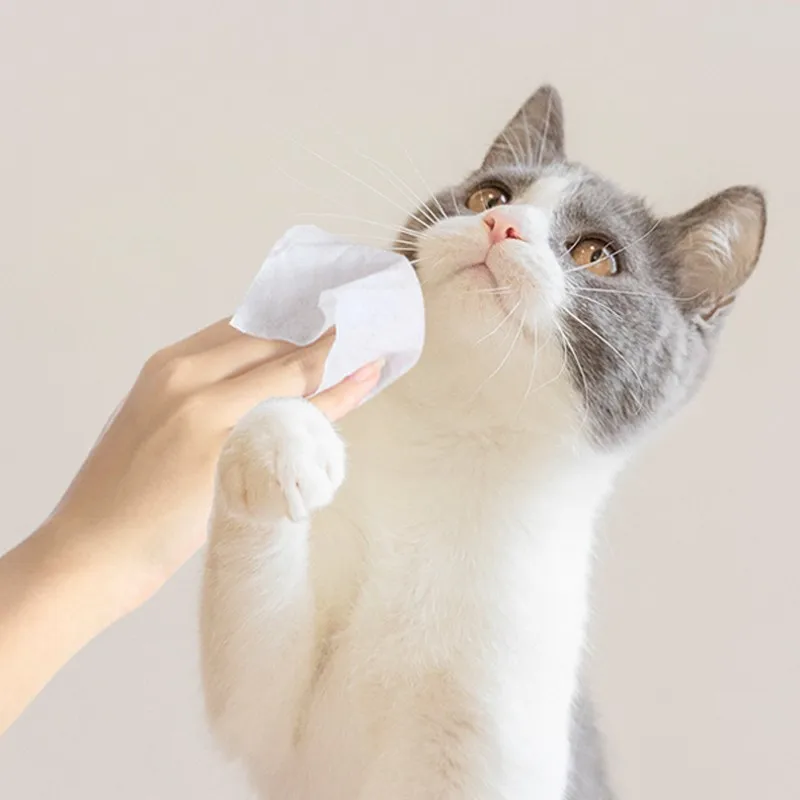 LM0063E Pet beauty products Pet deodorizing wipes 80 PCS cat and dog specific wet wipes no wash cleaning wipes