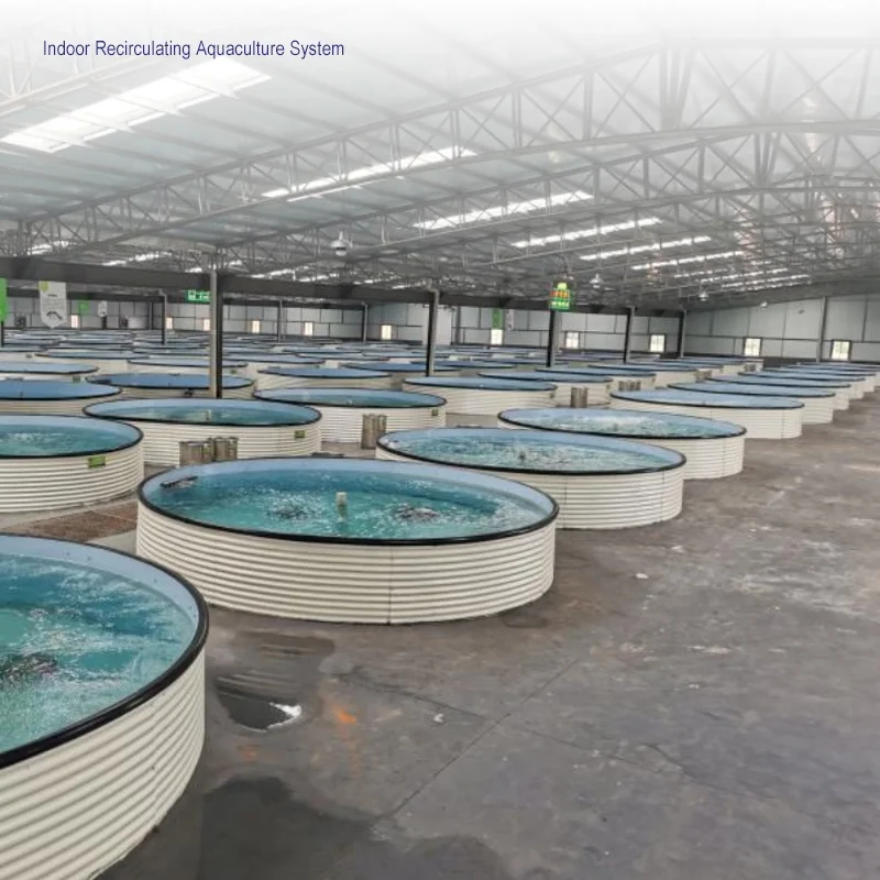 China supplier wholesale high quality mini smart fish farm system for uzbekistan
