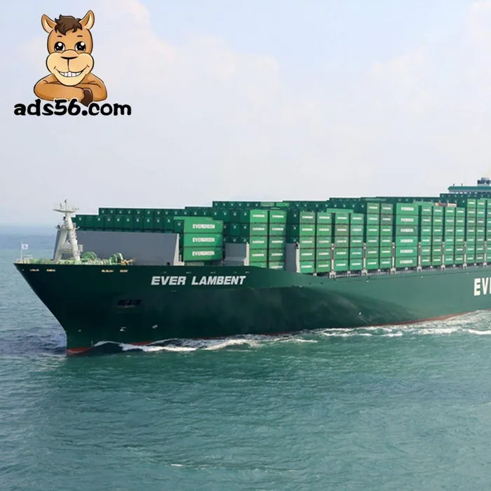 Cheap Door To Door Middle East Freight Forwarder Dental Flusher Test Bar Medical Supplies DDP To Israel Kuwait Iraq