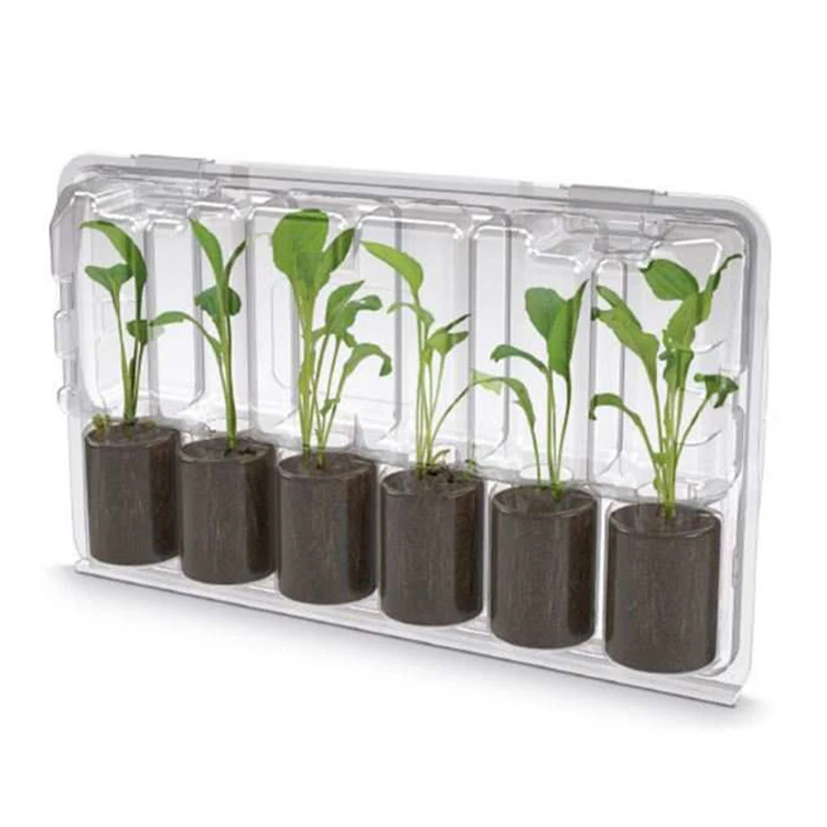 Упаковка для растений на заказ, упаковка в блистере, прозрачная упаковка для растений из ПВХ, раскладушка для растений