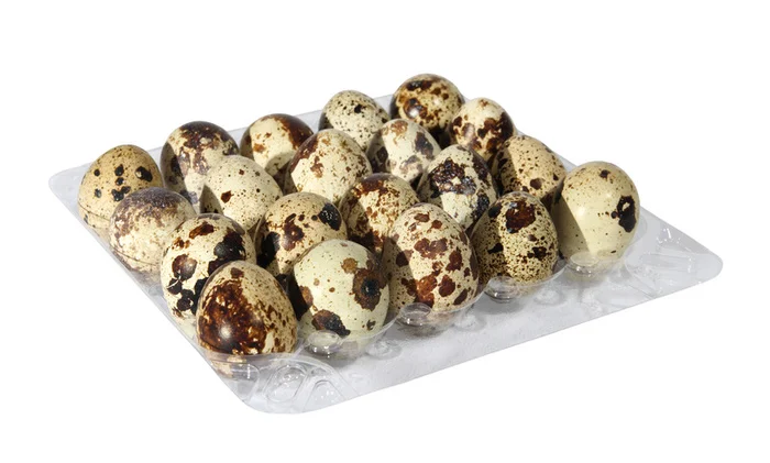 Высококачественные пластиковые лотки для перепелиных яиц, прозрачные коробки