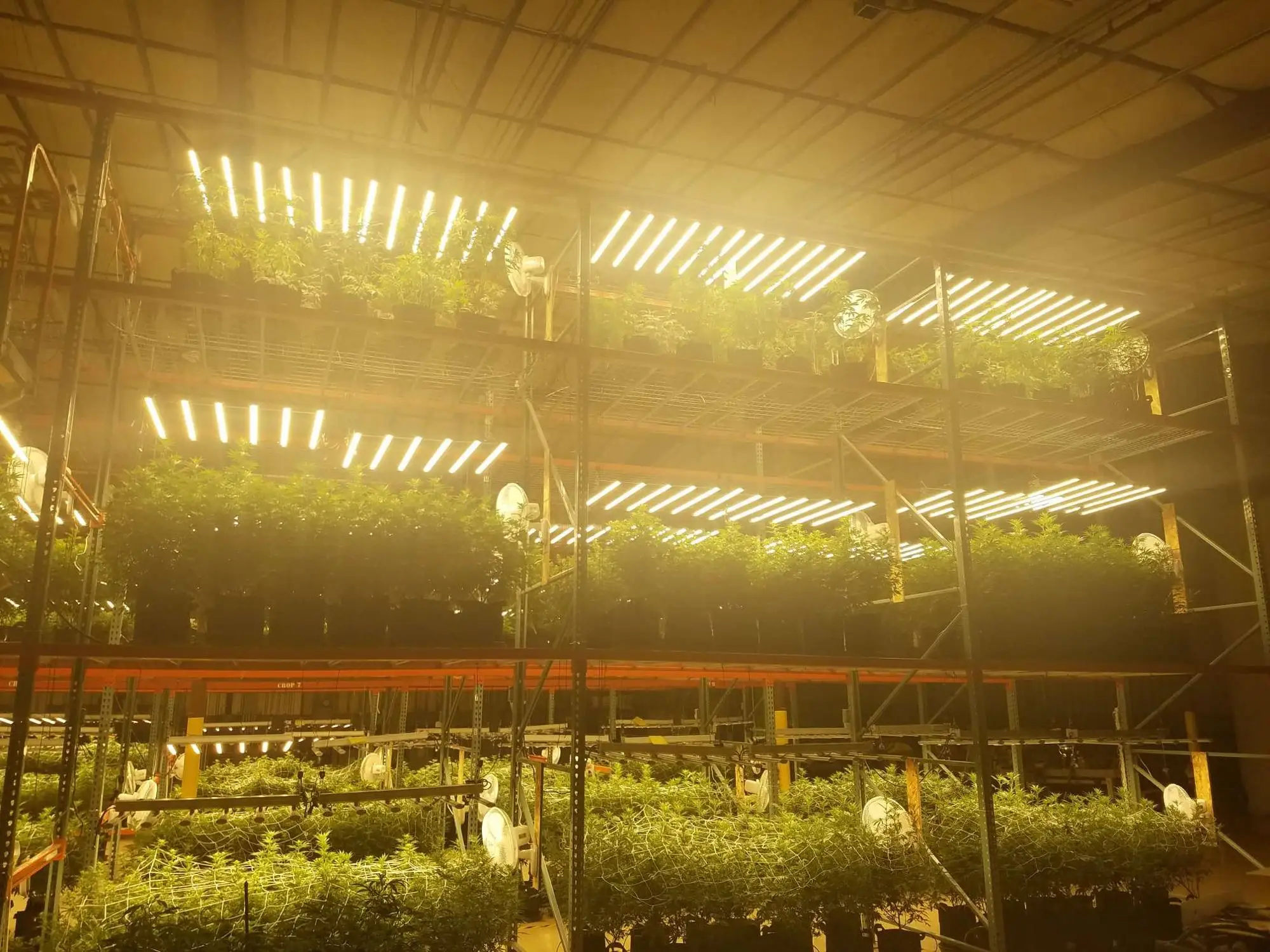 Sunritek оригинальный производитель дешевая цена Osram cob led свет бар DIY grow наборы для садоводства