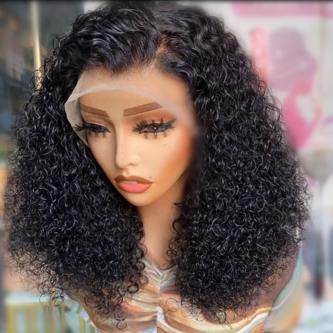 Transparent Lace Frontal Wig Afro Kinky Curly Short Bob Wigs Raw Indian Virgin Human Hair Hd Full Lace Front Wig For Black Women