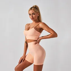 Hot Selling Breathable 2 Piece Set Women Shorts Set Yoga Set Seamless Sports Bras For Women Fitness