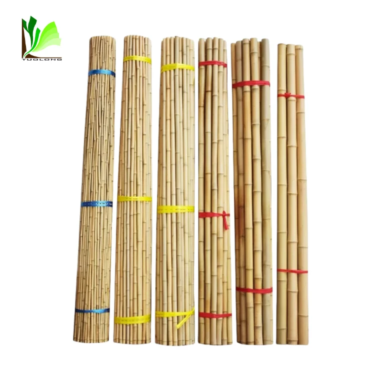 Cheap Natural Tonkin Raw Bamboo Stake for Support