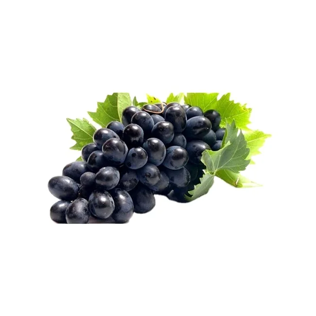 2020 Widely Demand Top Quality Wholesale Fresh Fruit Grapes