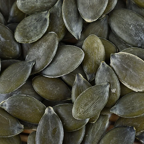 GWS pumpkin seed kernels  Organic pumpkin  from Inner Mongolia ,China with cheap price