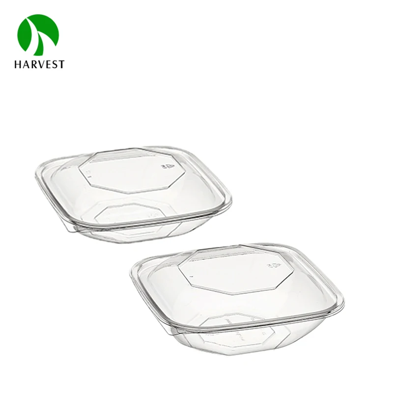 Food grade PET salad fruit disposable bowl tray set with plastic lid