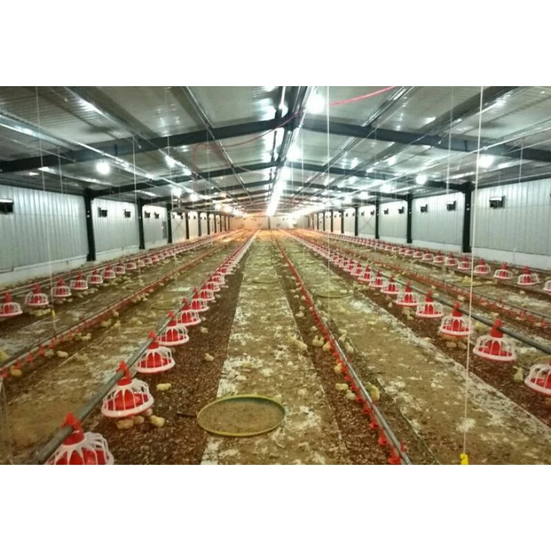 Autocad design steel poultry house fast construction steel chicken farming building