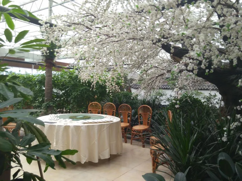 Complete glass agricultural greenhouse with tomato hydroponic growing system