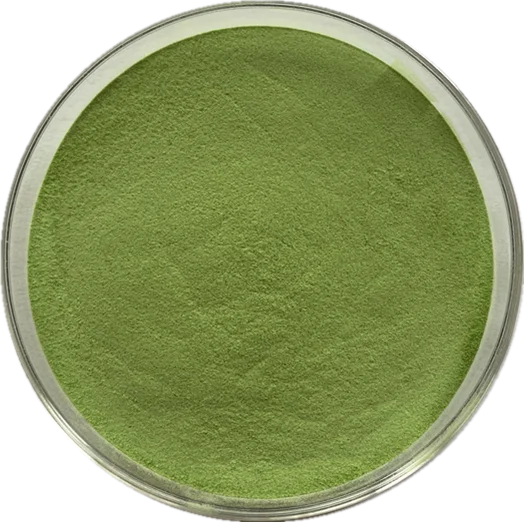 High quality pure natural Onion seeds extract Onion seeds powder