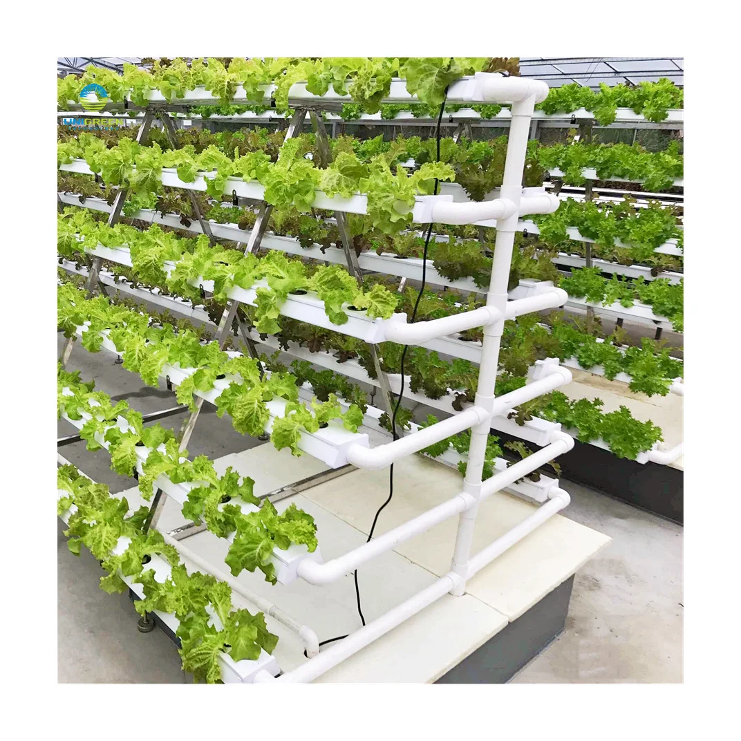 Greenhouse Planting A-frame Hydroponic Growing System Flat Pipe Agriculture Type A Hydroponics Grow Kit Systems