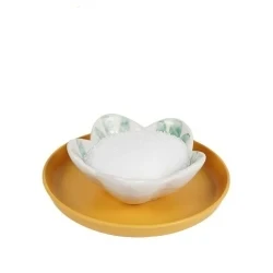 Export high-quality citric acid monohydrate