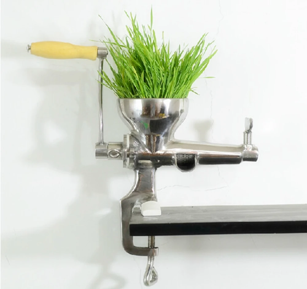 Peach Juicer Extractor Machine Carrot Wheatgrass Tomato Juicer Price