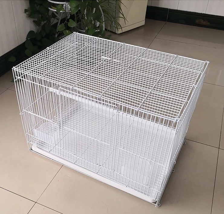 Модные клетки в китайском стиле для больших птиц и