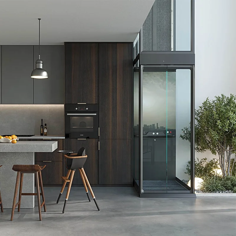 Modern Passenger Elevator for Residential & Hotel Use Safe with Private AC & Hydraulic Drives Floors 2-5 for Villas