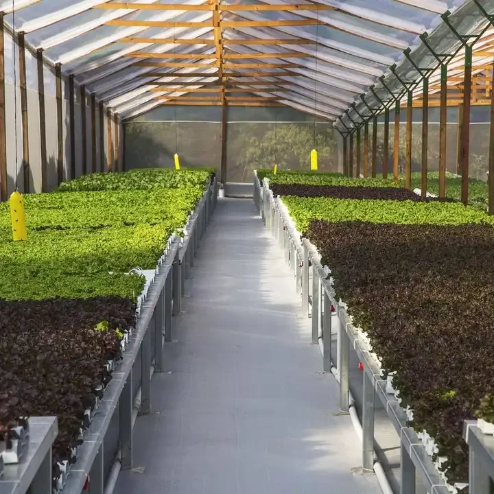 Manufacturer Plastic Nft Gully 100X50mm 110X110mm With Detachable Top Cover Lid For Growing for strawberry Lettuce Herbs