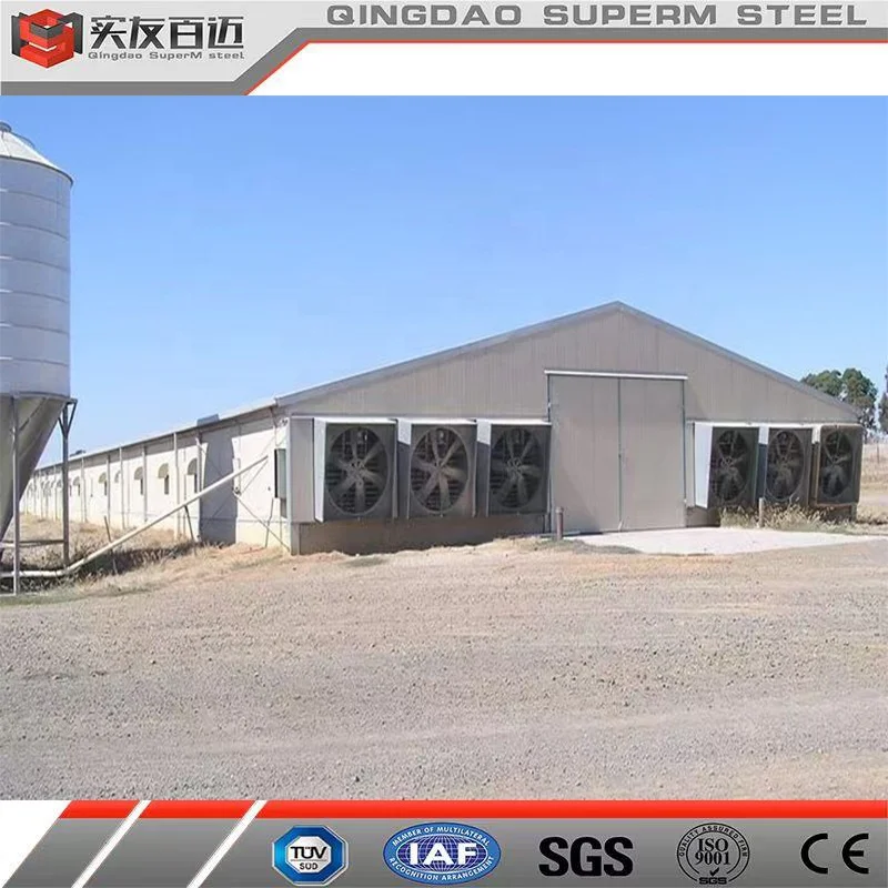 Prefabricated Metal Farm Building Steel Structure Fabrication  Poultry Farm Chicken House