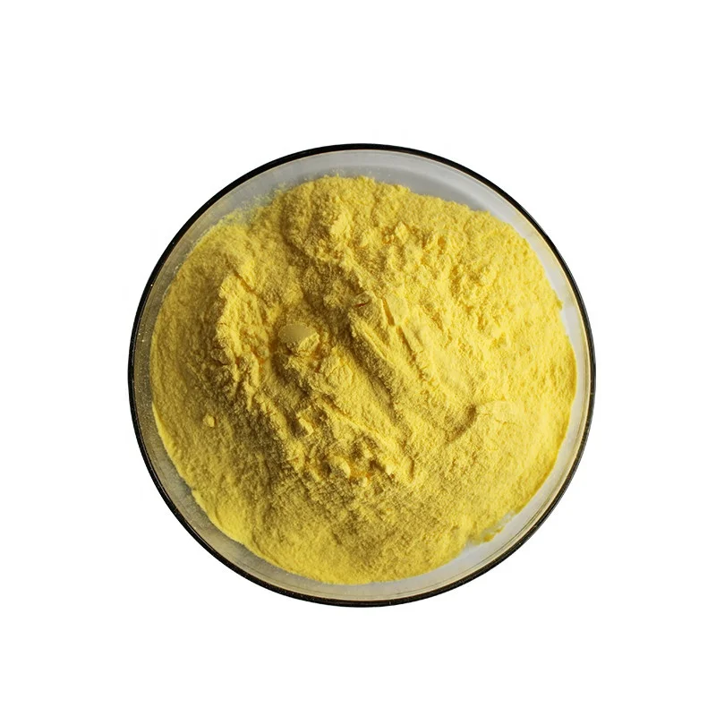 Best Selling Product High Quality mango fruit juice powder