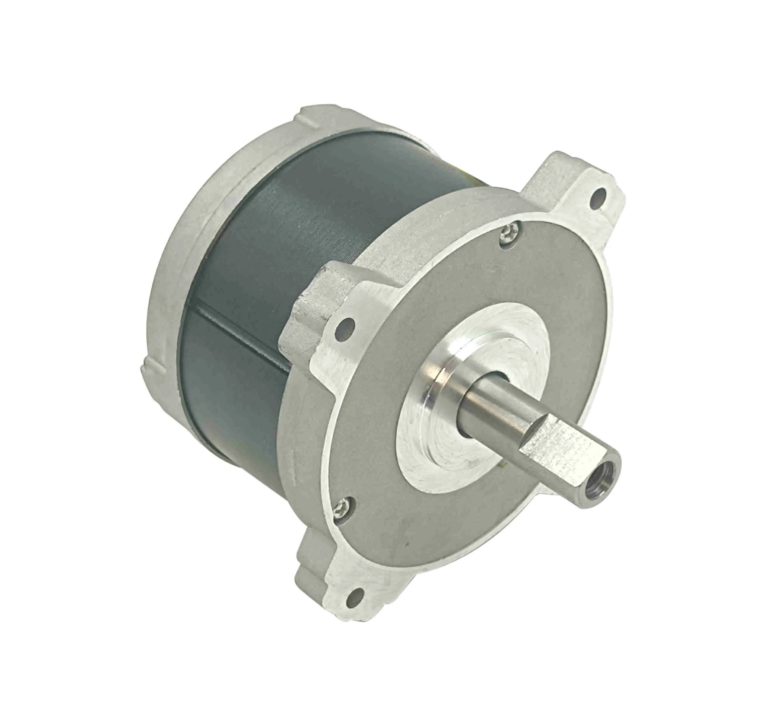  LANSHAN BL10045 китайский производитель высокоскоростной BLDC мотор 36 в 18 А 660 Вт бесщеточный двигатель постоянного тока для
