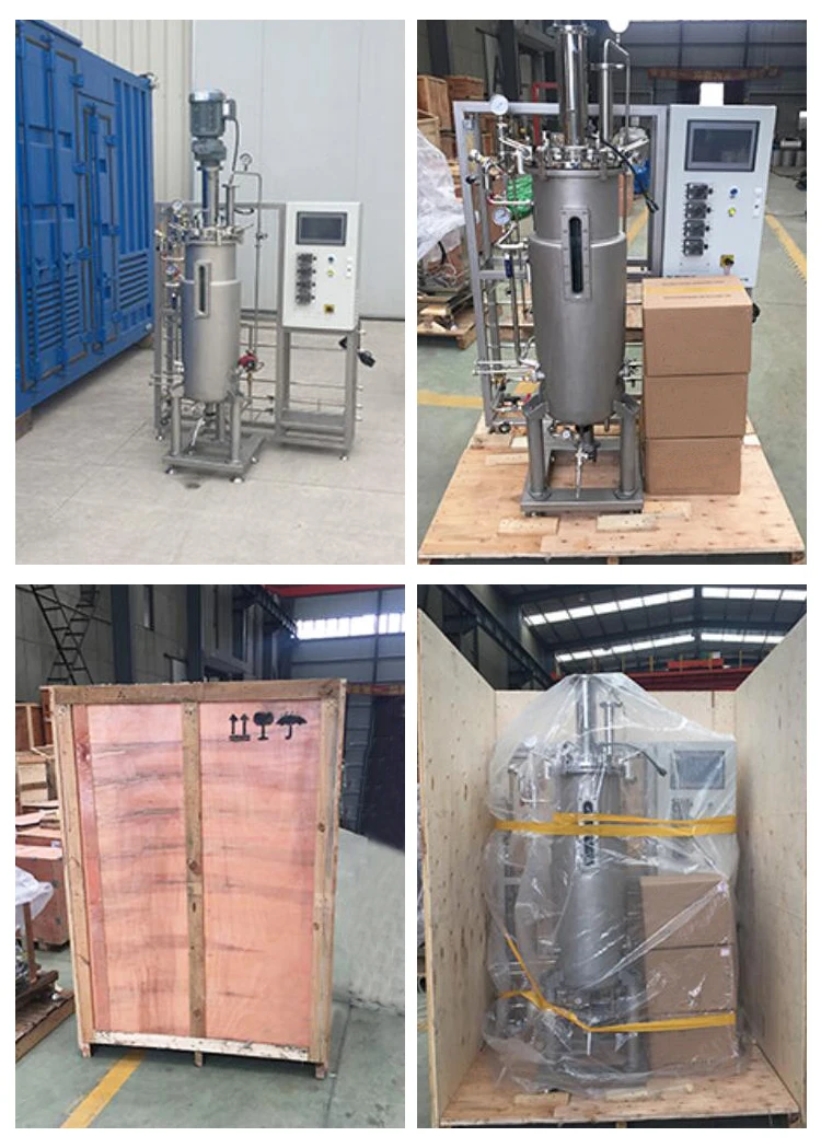 INNOVA Conical Fermenter 5L~1000L SUS316L stainless steel Fermenter for laboratory microbial culture