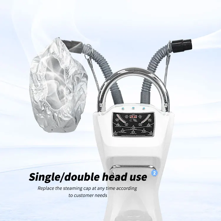 Factory Price O3 Micro Mist Mini Hair Steamer Ozone Hair steamer For Beauty Salon