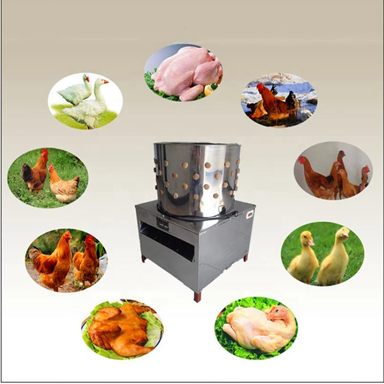 
automatic poultry equipment / electric chicken plucker machine / defeathering machine chicken 
