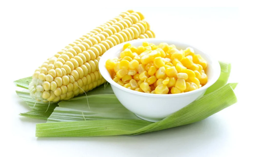 canned sweet corn canned kernel corn wholesale price  oem brand 3kg