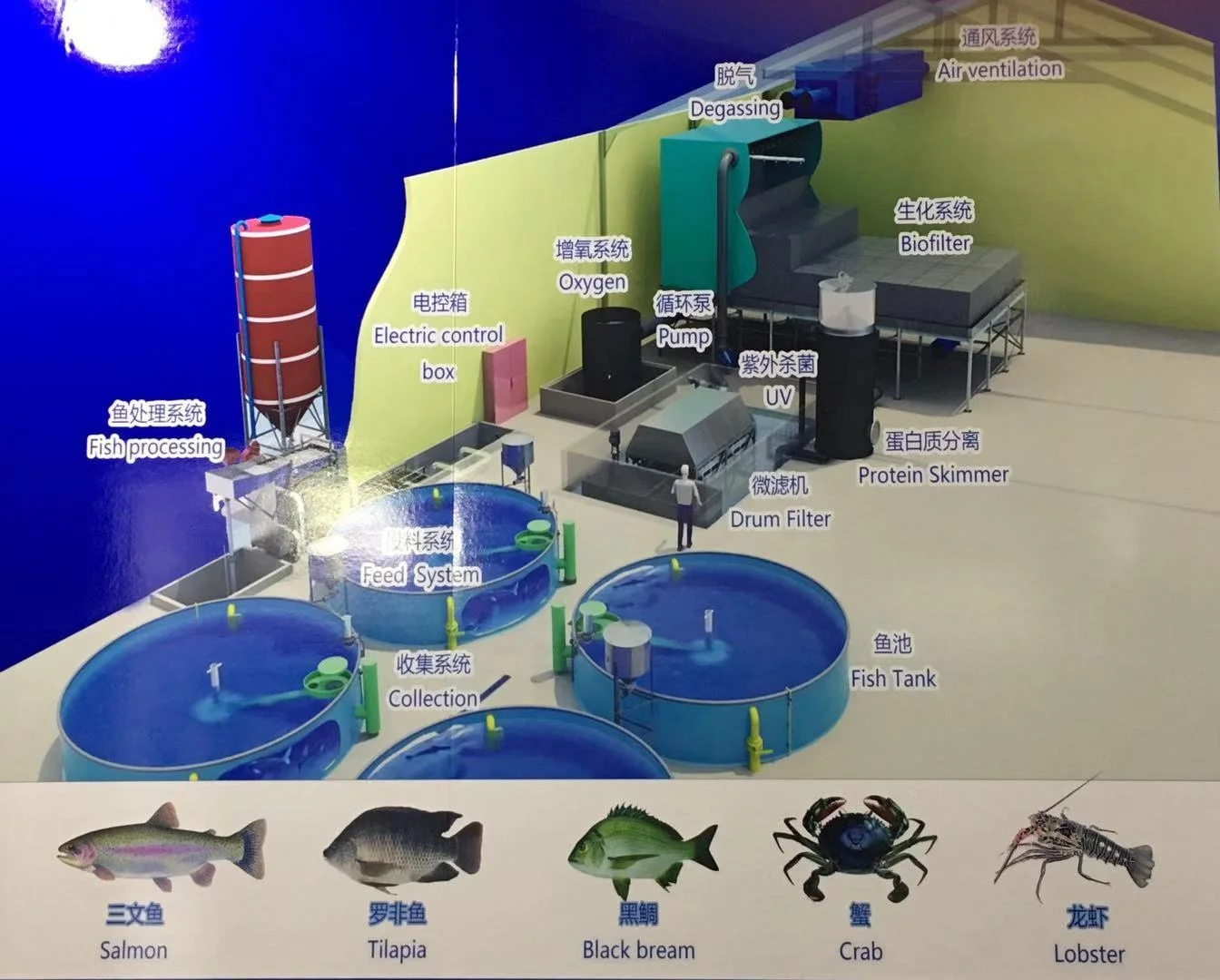 RAS system--Online water quality monitoring/drum filter/UV serilizer