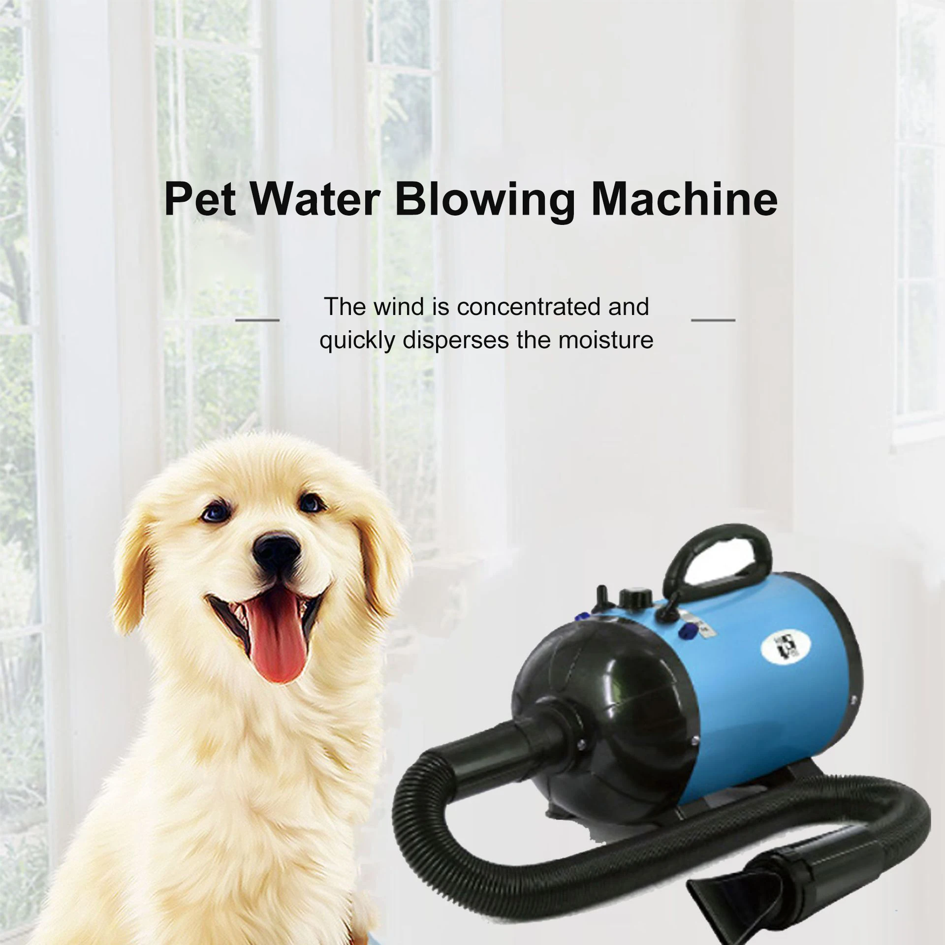 Wholesale Professional Pet Grooming Dryer Adjustable Speed Nozzles Pet Dog Hair Dryer