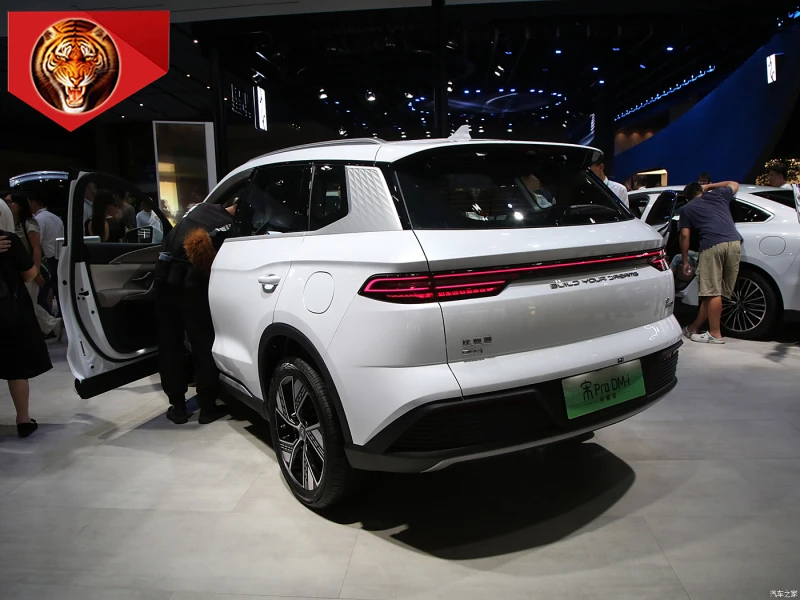 BYD2024 Song Pro DM-i Honor Edition 110 км Super SUV