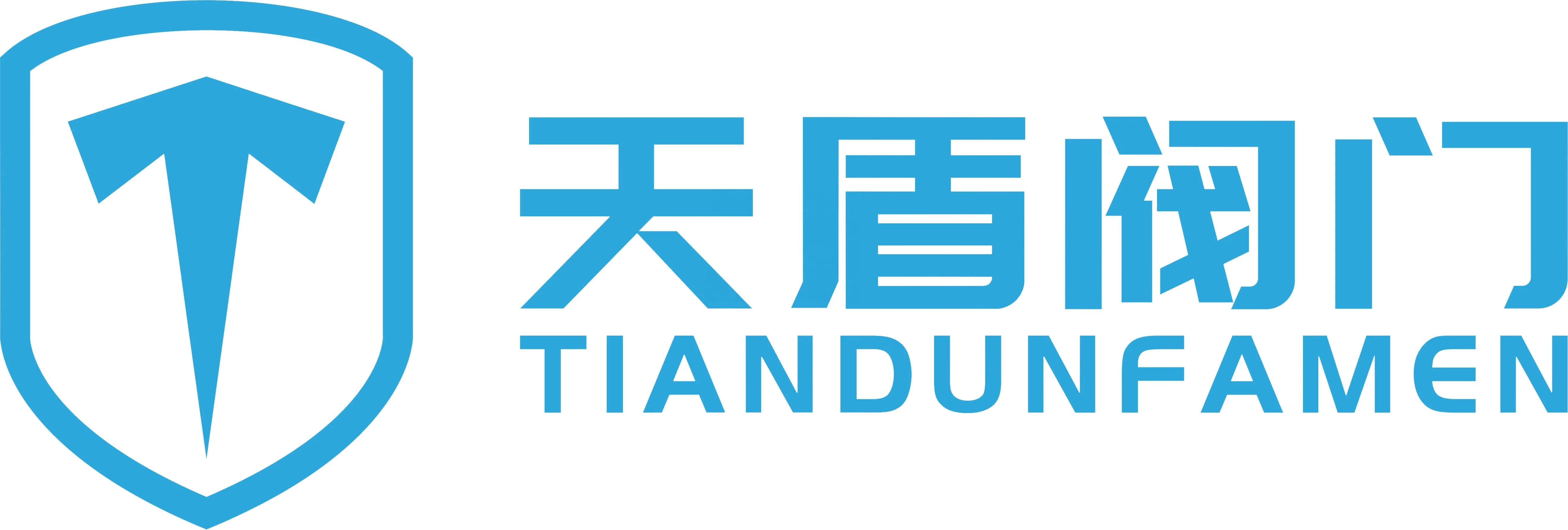 OEM factory Meets EU Standards Tiandun Valve Industrial Screw Valve Fits for G6/G10 Industrial Gas Meter