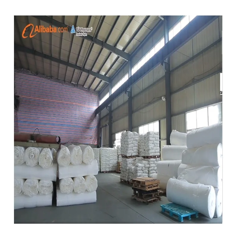 Coir Geotextile Non Woven Geotextile (500gr/m2) Polyester Non Woven Fabric