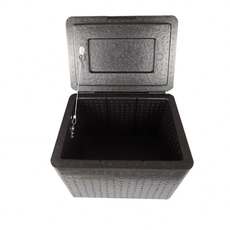 Customized Seafood Delivery Heat Preservation EPP foam box EPP insulation box