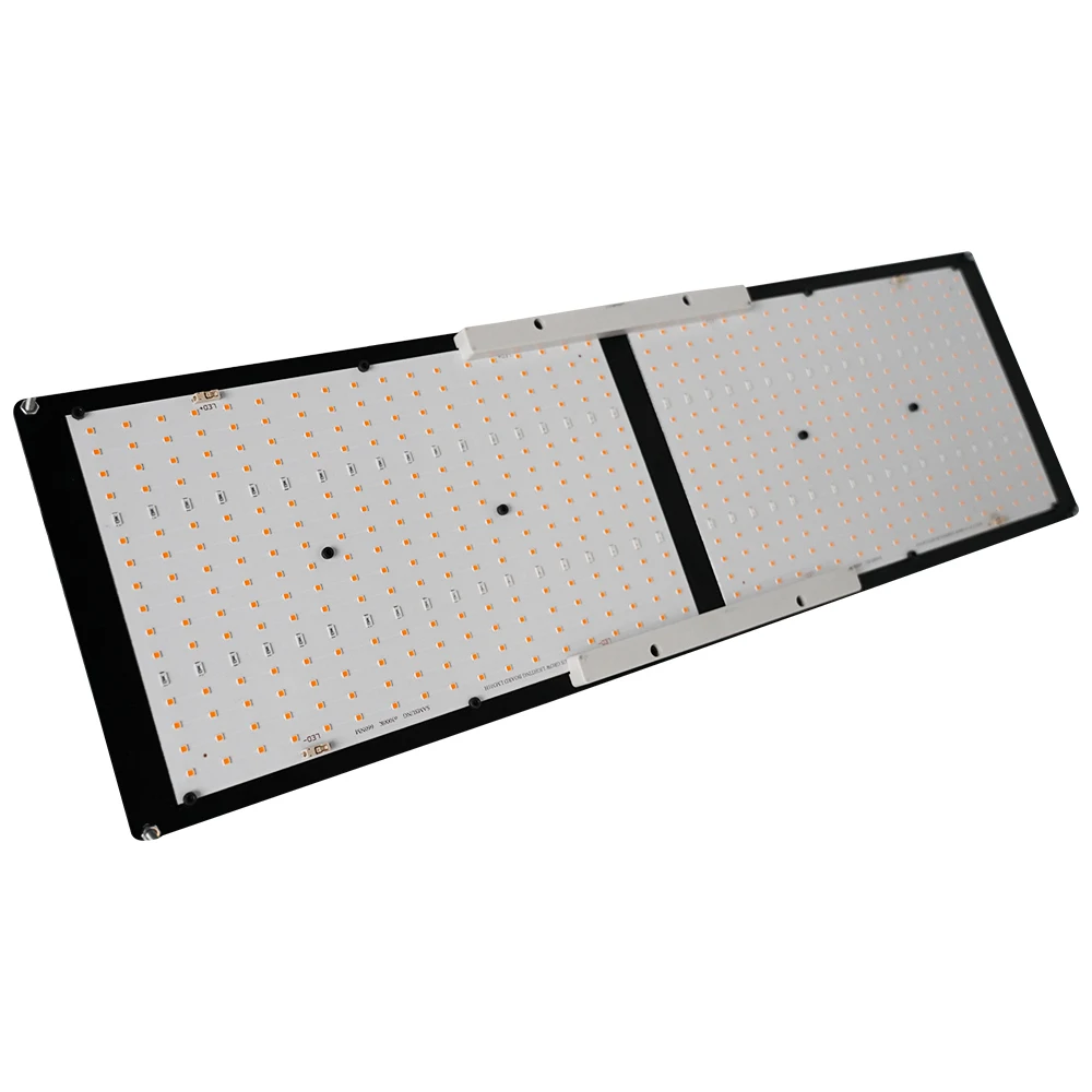 Shenzhen Meijiu QB288 Samsung lm301b 240W Waterproof Led Grow Light Gor Grow Tent