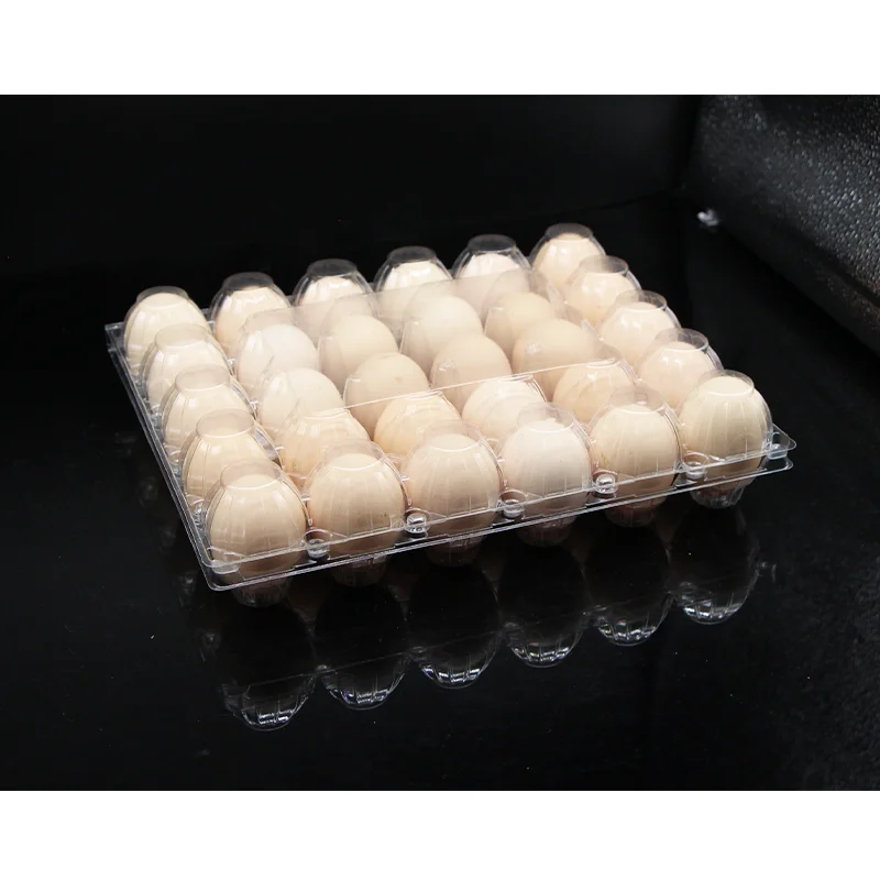 Automatic PVC PET Plastic Cup Lid Thermoforming Making Machine PP Cover Lid Disposable Coffee Cup Lid Making Machine