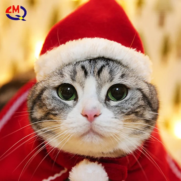 Comfortable cotton T-Shirt full print pet Christmas clothes wholesale dog clothes winter