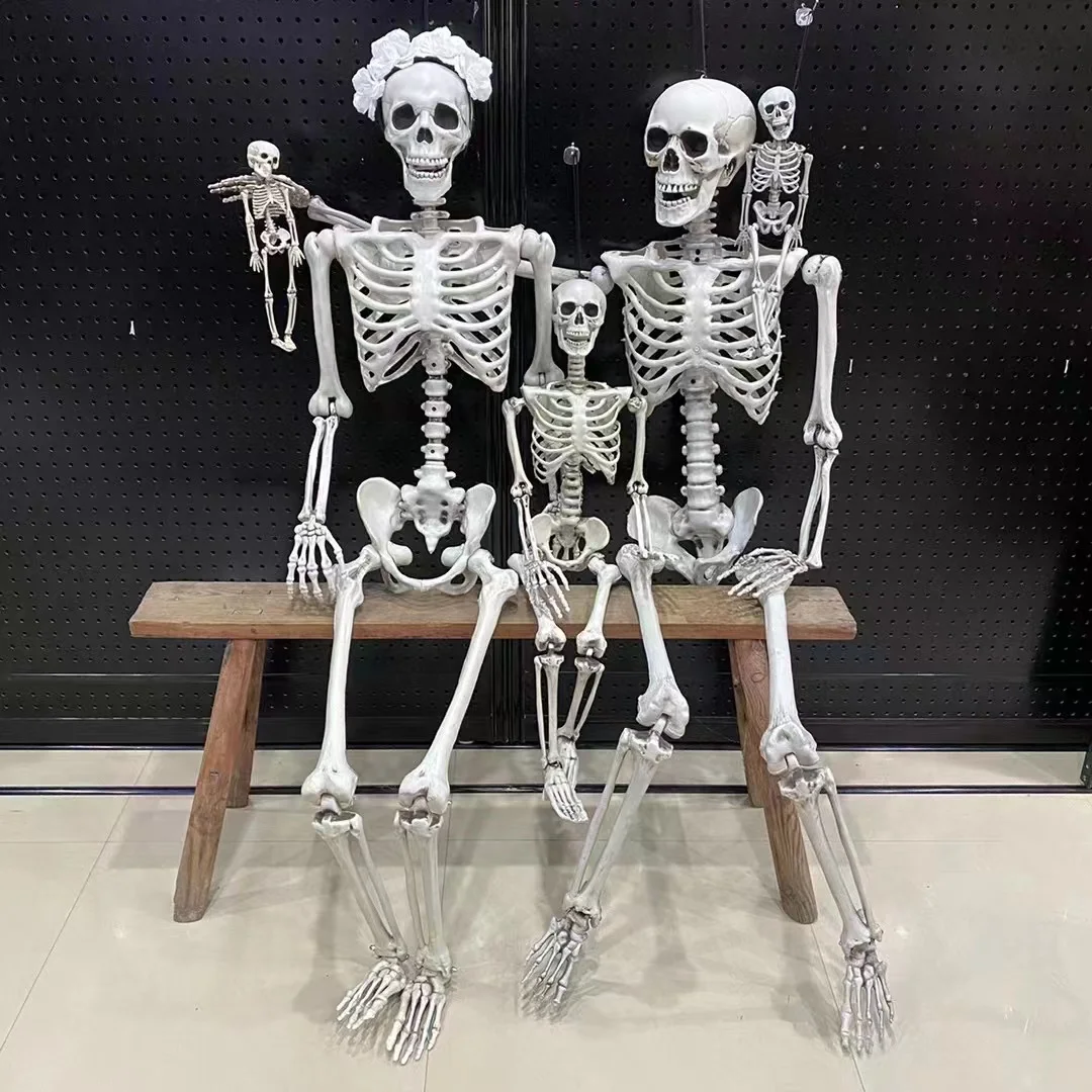 Customize 35 inch Halloween Skeleton Full Body Plastic Skeleton with Movable  Joints Perfect for Halloween Decorations Party