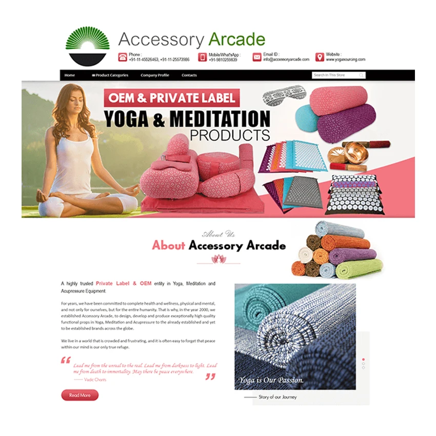 Christmas Best Offer Custom Website Designing and Web Development No 1 In India