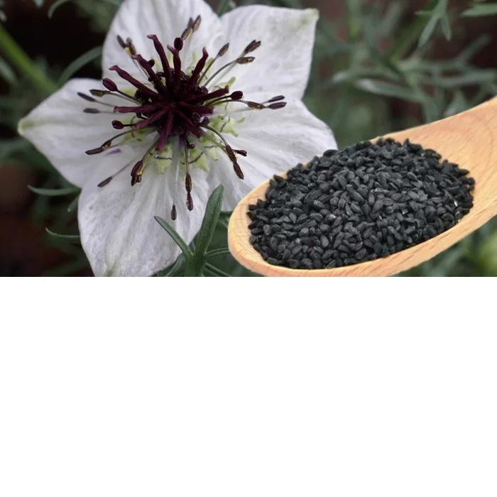 Органическое 100% холодного отжима Масло черного семени премиум качества Nigella Sativa Kalonji черный тмин волосы тела массаж кожи лица OEM