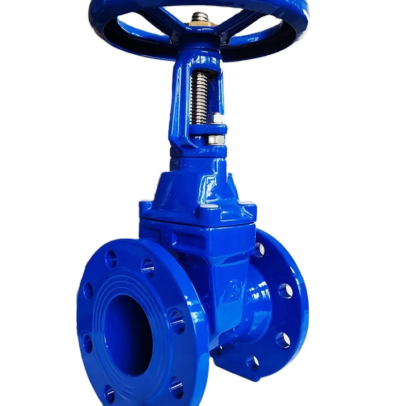 Rising stem resilient soft seated gate valve